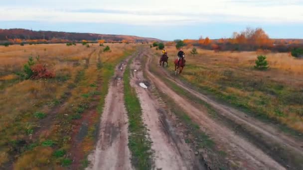 Dos mujeres galopando caballos en el campo — Vídeo de stock