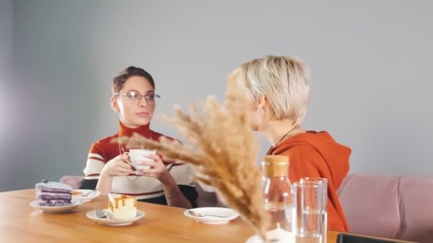 Meisjes in een café drinken koffie en praten. — Stockvideo