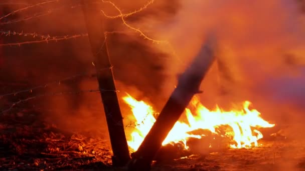 Un bosque en llamas por la noche — Vídeo de stock