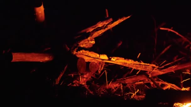 Czerwone światło z ogniska odbija się na drewnie w lesie — Wideo stockowe