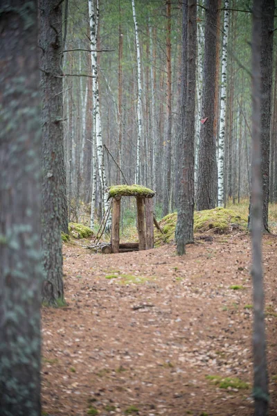 Adăpost pe câmpul de luptă în al Doilea Război Mondial în pădure — Fotografie, imagine de stoc