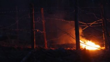 Gece vakti yanan bir orman ve bir grup asker yerde cesetler.