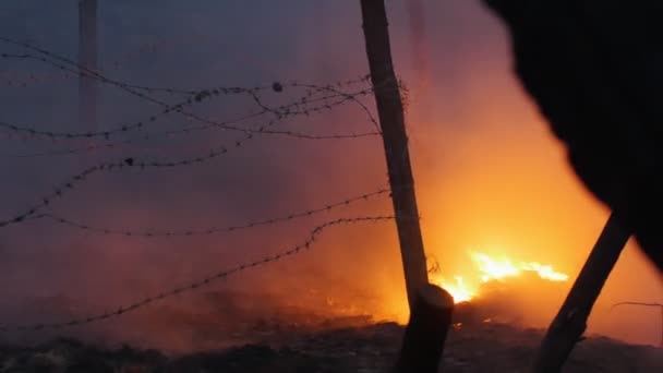 Płonący las nocą - ludzie spacerujący po okolicy — Wideo stockowe