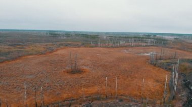 Sonbahar tarlası ve yanmış zemin manzarası - hava manzarası