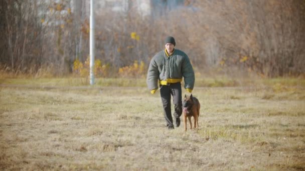 Un hombre entrenador en chaqueta protectora caminando por el campo con su perro pastor alemán — Vídeos de Stock