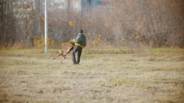 Alman çoban köpeğini eğiten bir adam - köpek, ceketin koruyucu koluna dişlerini sıkıyor ve eğitmen kendi etrafında dönüyor.