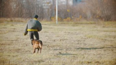 Bir adam Alman çoban köpeğini eğitirken köpek arkasından koşar ve onu kolundan ısırır.