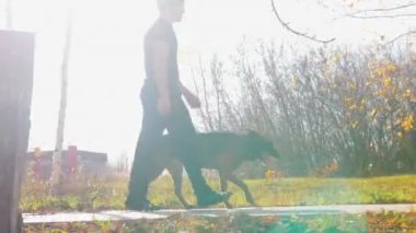 Parlak bir günde, Alman çoban köpeğiyle parkta yürüyen bir antrenör.