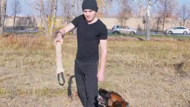 Un hombre entrenando a su perro pastor alemán - incitar al perro en el cebo de agarre y hacer saltar al perro - un perro corriendo en el círculo y tratando de atrapar el cebo — Vídeos de Stock