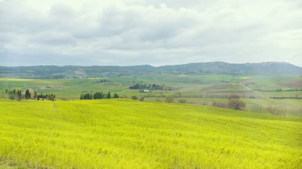 Un prado verde brillante bajo el cielo azul — Vídeos de Stock