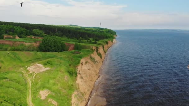 緑のフィールドと水の近くの岩の崖 — ストック動画