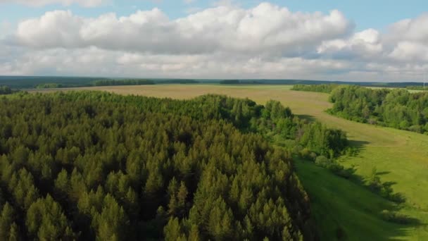 Grönt öppet fält och skog med blå himmel ovanför — Stockvideo