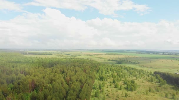 Зеленое поле и лес под дождем — стоковое видео