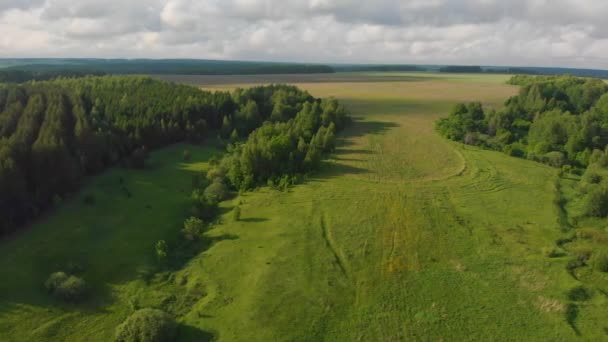 Зеленое открытое поле и лес с облачным небом над головой — стоковое видео