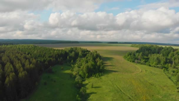 Campo verde y bosque con cielo nublado arriba — Vídeo de stock