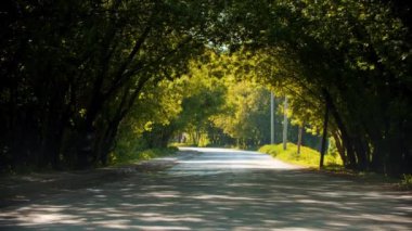 Yeşil parkta bisiklete binen genç adam - ağaç kemeri