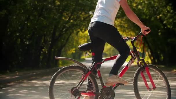 Junger Mann radelt im grünen Park — Stockvideo