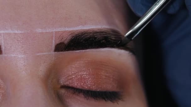 Maître des sourcils remplissant le sourcil avec de la teinture brune pour les sourcils — Video