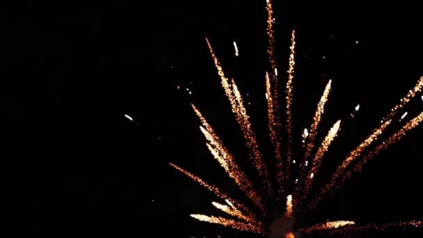 Différentes couleurs feux d'artifice lumineux explosant dans l'air la nuit