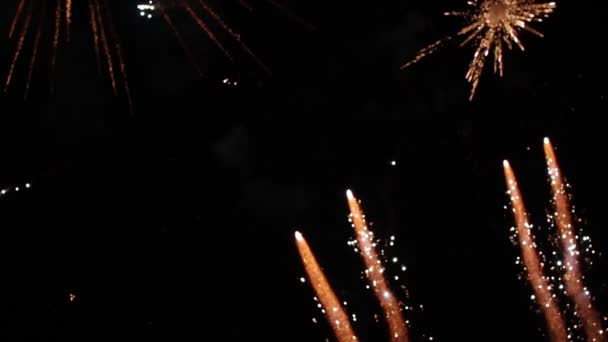 Verschillende vuurwerk van verschillende kleuren exploderen 's nachts in de lucht in de lucht — Stockvideo