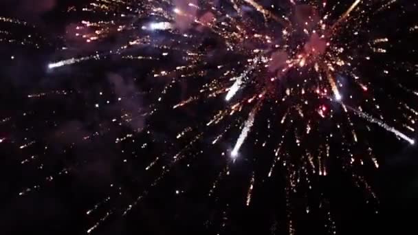 Vários fogos de artifício bonitos de cores diferentes explodindo no ar à noite nos céus o céu enche de fumaça — Vídeo de Stock