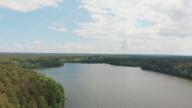 Yeşil bir orman ve büyük açık bir nehir manzarası.