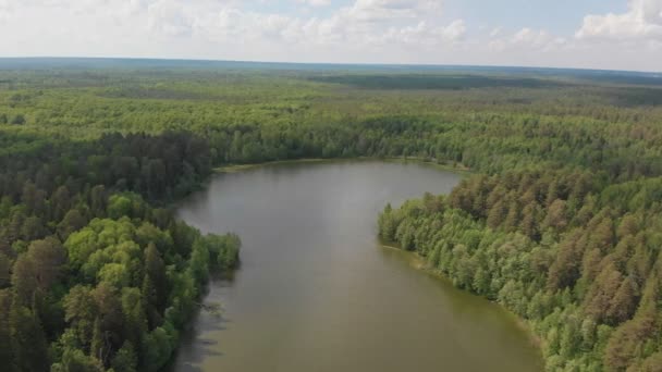 Paisaje de un bosque verde y lago rodeado por él — Vídeos de Stock