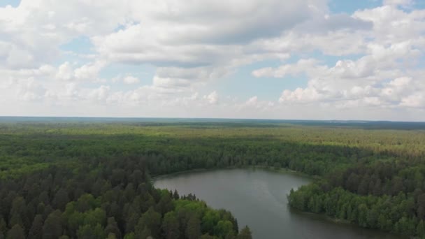 Paisaje de un lago en medio del bosque — Vídeos de Stock