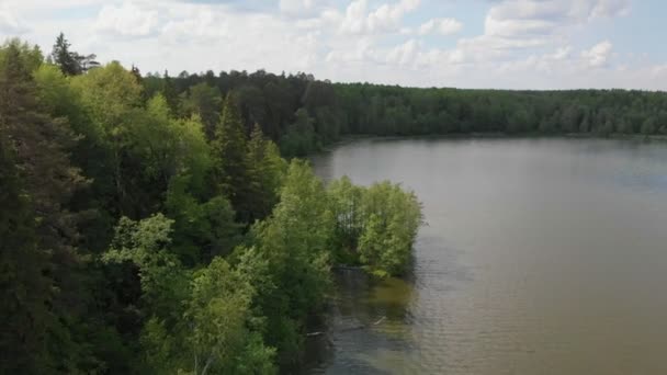 Landscape of a lake in the middle of the coniferous forest - green nature — Stock Video