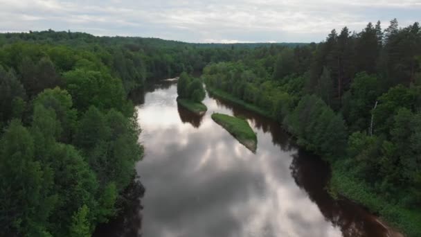 Nature landscape - river divides the coniferous forest into two halves — Stock Video