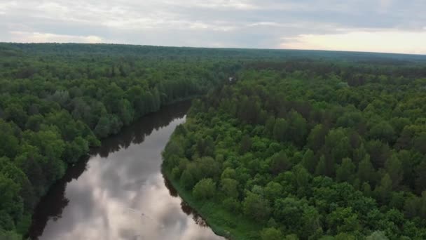 Природный пейзаж - река делит хвойный лес — стоковое видео