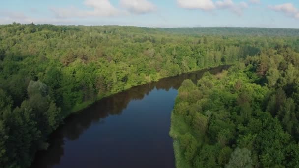 Paisaje de naturaleza verde: el río se extiende entre el bosque — Vídeos de Stock