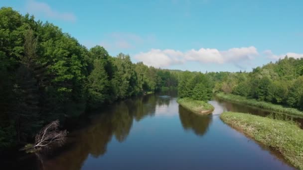 Krajobraz natury - rzeka między lasami — Wideo stockowe