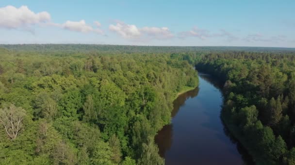 Paisaje de la naturaleza: el río se extiende entre el bosque de coníferas — Vídeos de Stock