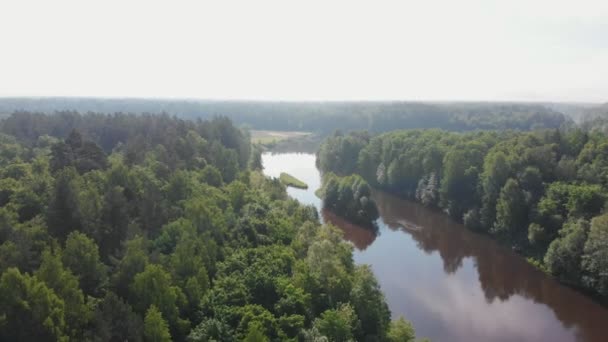 Krajobraz natury podczas jasnego dnia - rzeka rozciąga się między lasem — Wideo stockowe