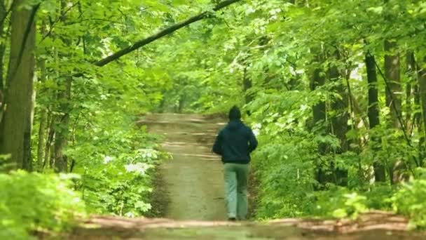 Молодой человек в толстовке бегает по зеленому лесу — стоковое видео