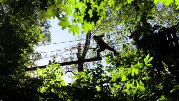 Aventura de corda - mulher caminha cuidadosamente na ponte de corda suspensa — Vídeo de Stock