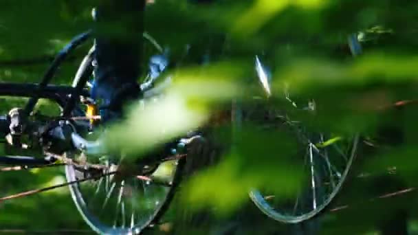 Een persoon fietst in het groene bos — Stockvideo