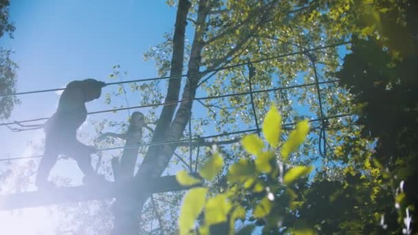 Uma mulher atravessando a ponte de corda - uma atração de entretenimento no parque verde — Vídeo de Stock