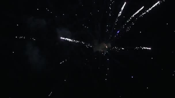 Barevný krásný ohňostroj exploduje ve vzduchu v noci — Stock video