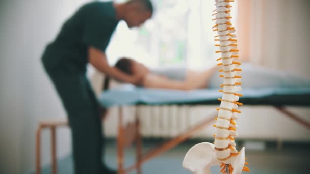 Mulher que tem um tratamento osteopático - uma amostra de plástico da coluna vertebral humana em primeiro plano — Vídeo de Stock