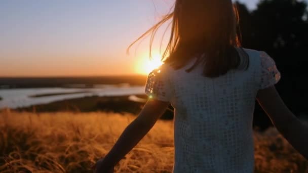 Una niña caminando en el campo y tocando suavemente las orejas — Vídeo de stock