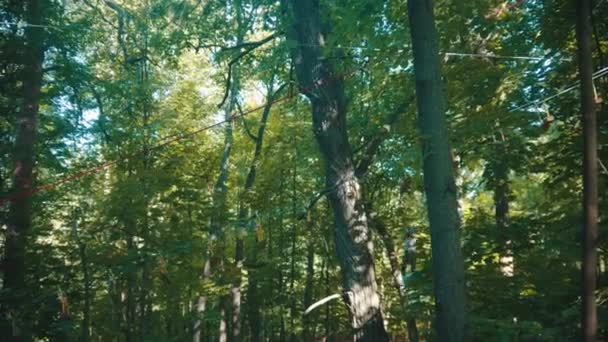 Um homem tendo uma aventura de corda na floresta com seguro total descendo usando seu cinto de seguro — Vídeo de Stock