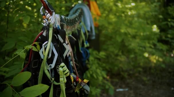 Verzekeringsgordels en helmen hangend aan het touw in het bos — Stockvideo