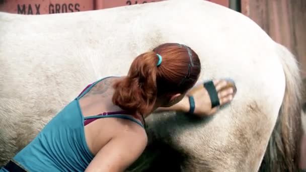 Μια γυναίκα που βουρτσίζει άσπρο άλογο στην ύπαιθρο — Αρχείο Βίντεο