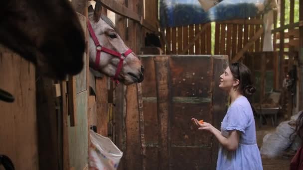 Zwei junge Frauen füttern Pferde auf Koppel — Stockvideo