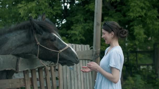 Jonge glimlachende vrouw voedt paarden in paddock buiten — Stockvideo