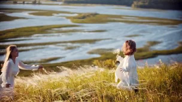 Happy family concept - klein meisje en haar moeder rennen naar elkaar toe en knuffelen op het tarweveld — Stockvideo