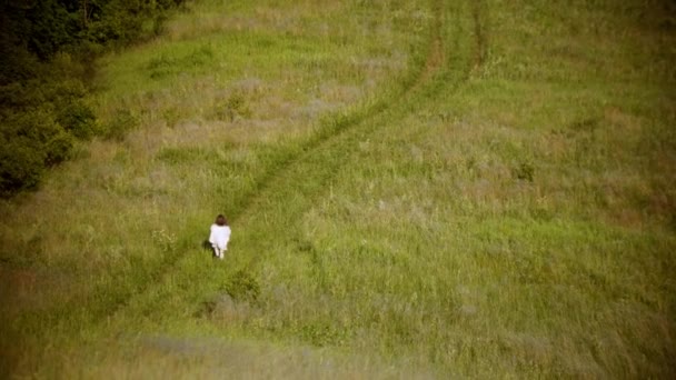 En liten flicka i vita kläder som springer på det gröna fältet — Stockvideo