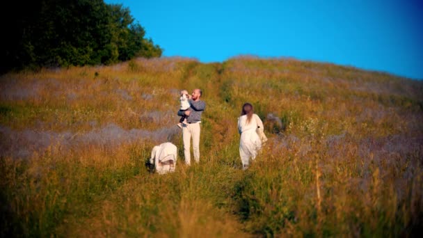 Familia joven caminando hacia arriba en el campo al atardecer — Vídeos de Stock